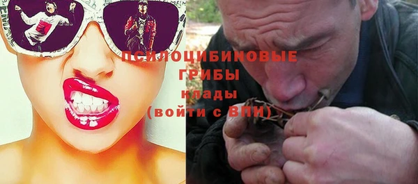 хмурый Балахна
