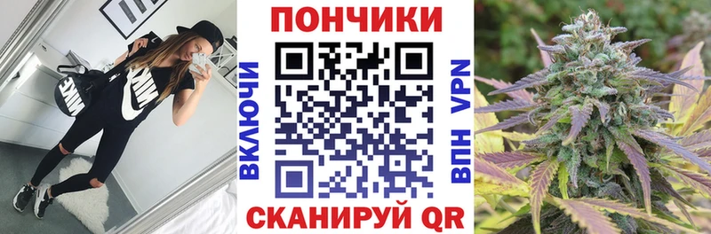 МАРИХУАНА сатива Верея